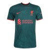 Goedkope Liverpool Henderson 14 Third Shirt 2022-23